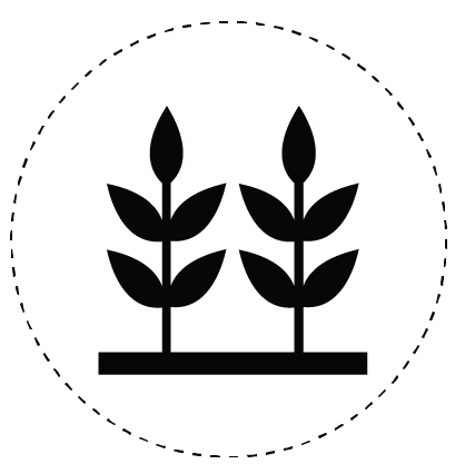 Virtusa Image