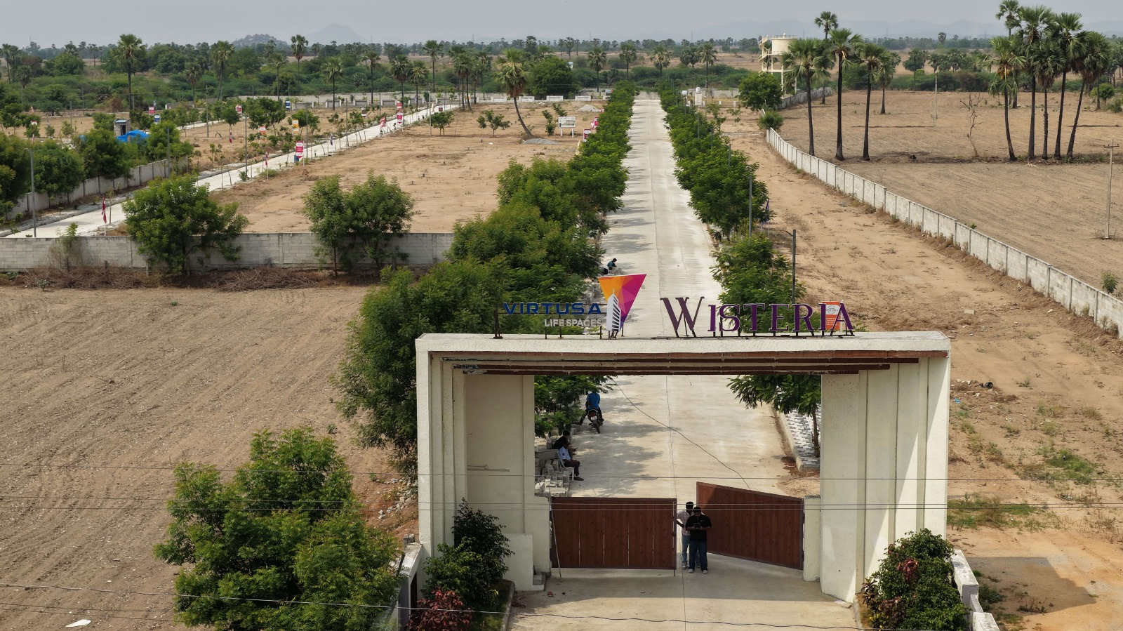 Virtusa Image
