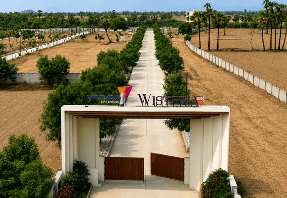 Virtusa Image